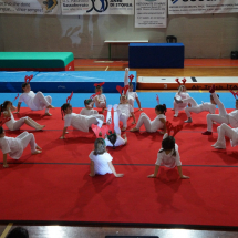 DSC00551 (Copia)