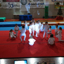DSC00565 (Copia)