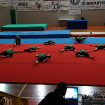 DSC00575 (Copia)