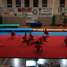 DSC00579 (Copia)